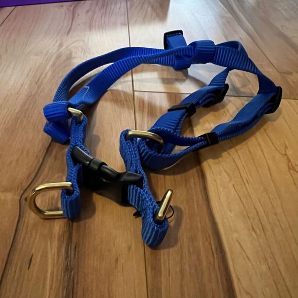 PetSmart Other - Blue dog harness Medium